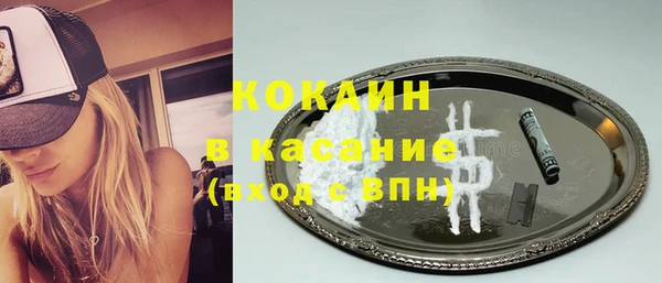 твердый Арсеньев