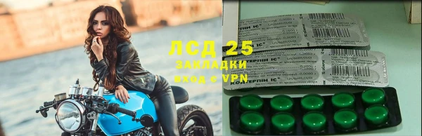 твердый Арсеньев