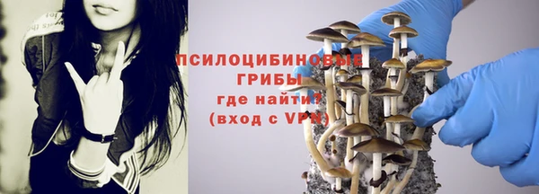 твердый Армянск