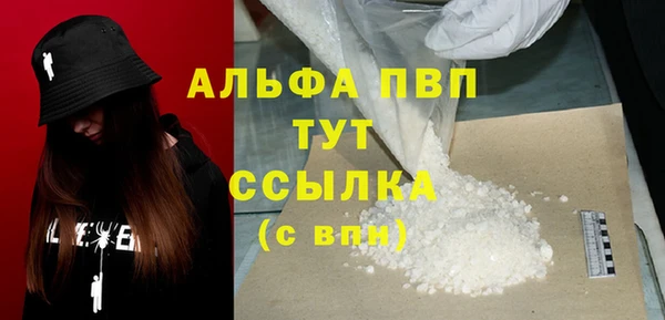 spice Аркадак