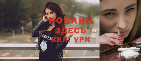 твердый Арсеньев