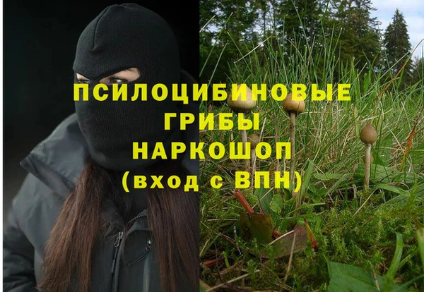 твердый Армянск
