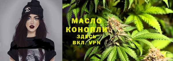 твердый Арсеньев