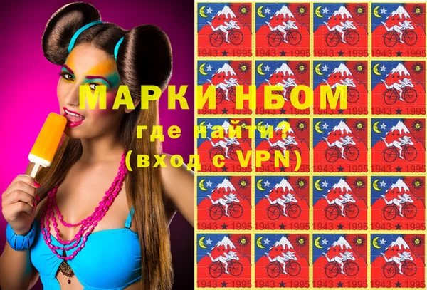 spice Аркадак