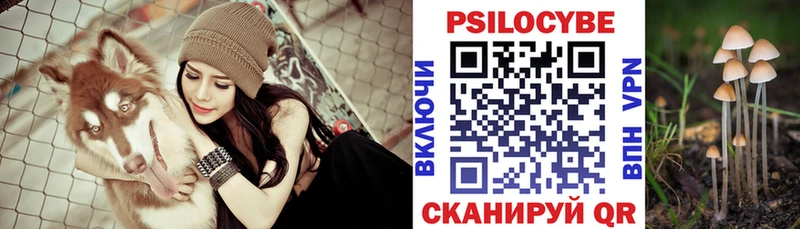 купить закладку  Талица  кракен вход  Галлюциногенные грибы мицелий 